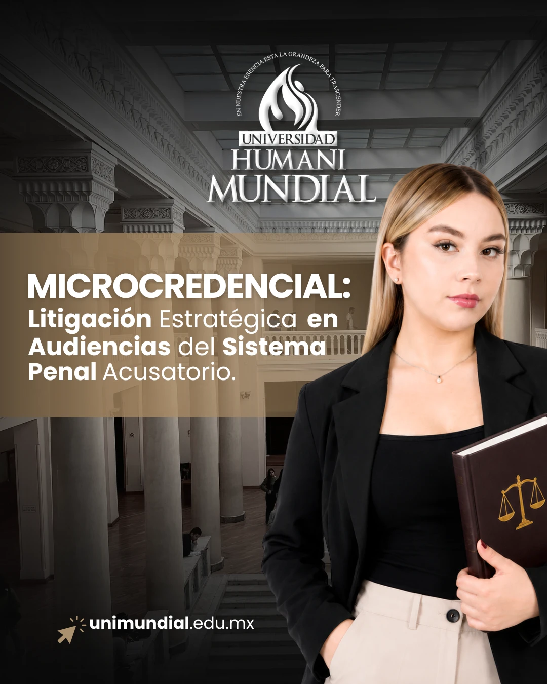 Microcredencial en Litigación Estratégica en Audiencias del Sistema Penal Acusatorio